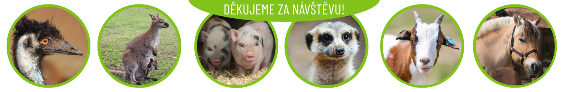 4db70866-dekujeme-za-navstevu.png