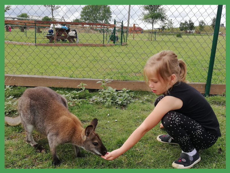Zábava pro děti a tip na víkend