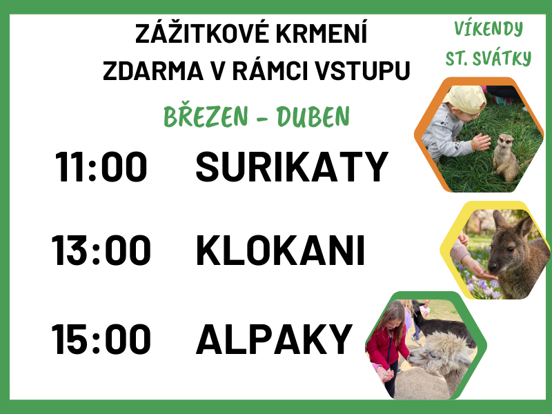 kontaktní zoopark pony