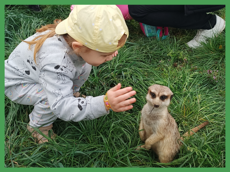 Adoptujte zvířátko