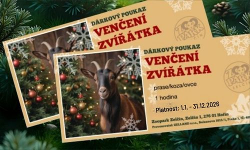 Venčení zvířátka dárkový poukaz