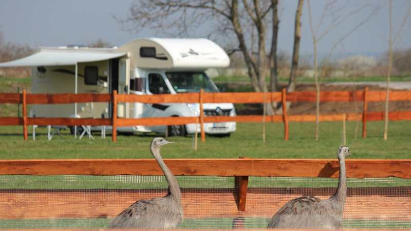 camp a tábořiště zoopark Zelčín