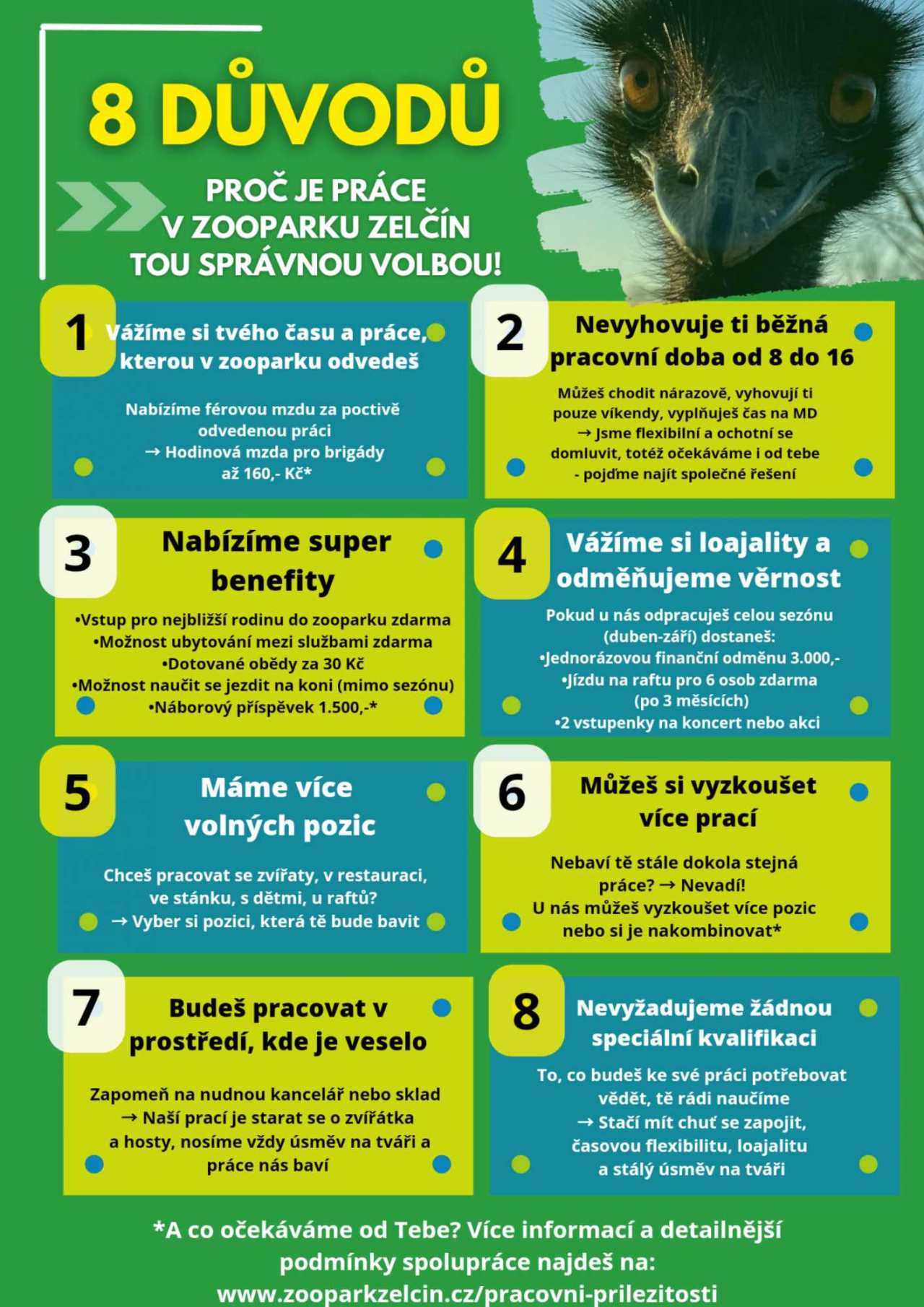 cf8c1714-kariera-v-zooparku-zelcin.jpeg