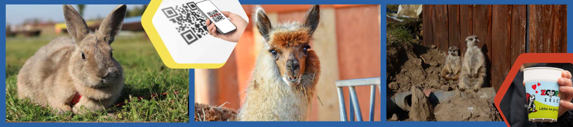 15cc5dea-obdarujte-sve-blizke-tim-nejkrasnejsim-darkem-darkove-poukazky-do-zooparku-18.png