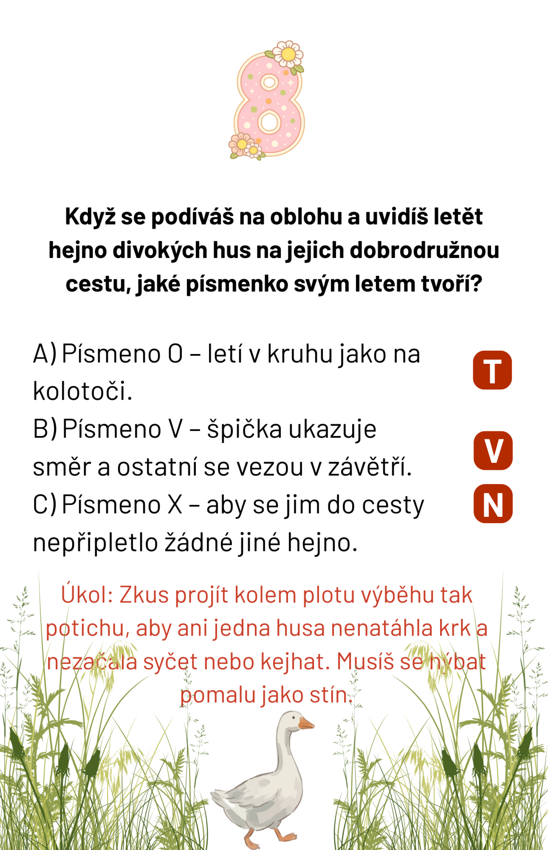 4107b85f-majova-stezka-7.png