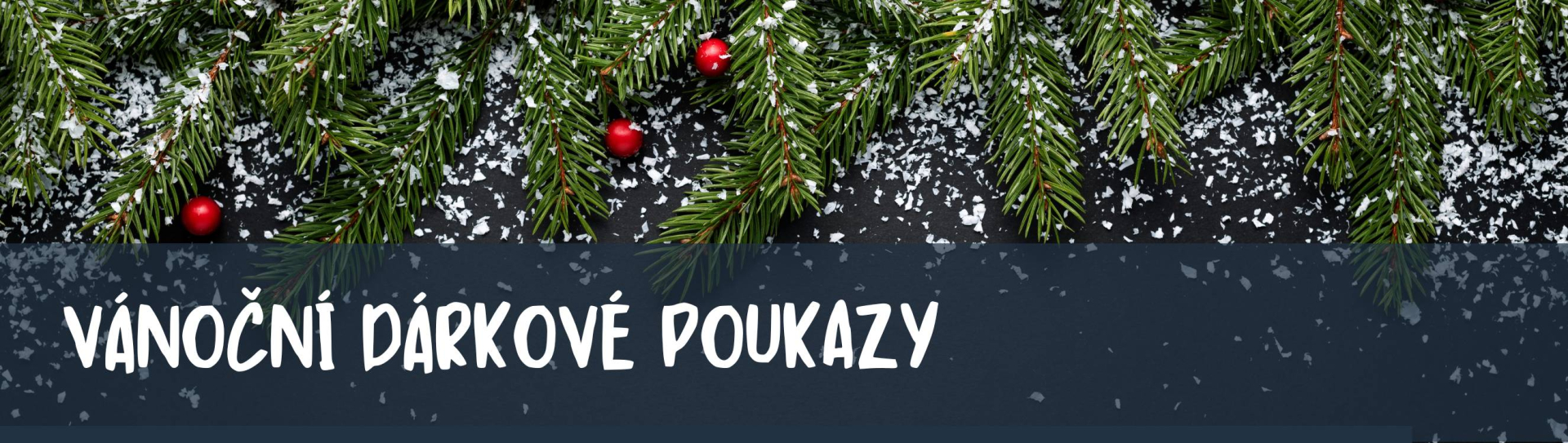 4df9cf1a-vanocni-darkove-poukazky.jpeg