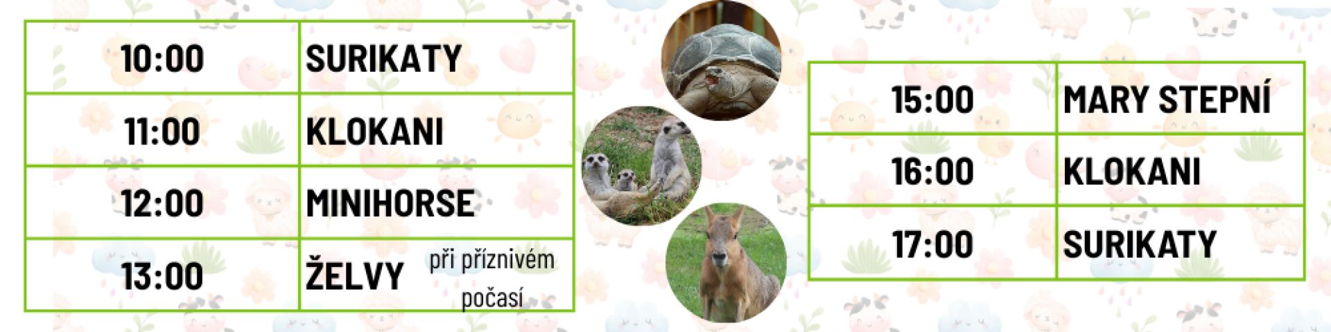 77a38f27-zazitkove-krmeni-podzim-2.png