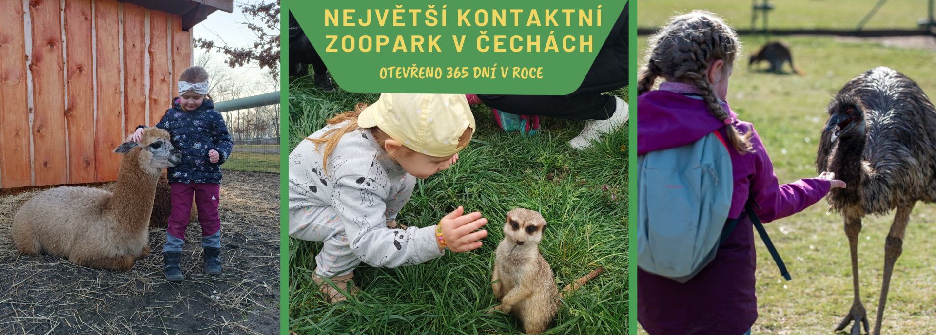 7ae460a6-nejvetsi-kontaktni-zoopark-v-cechach-62.png