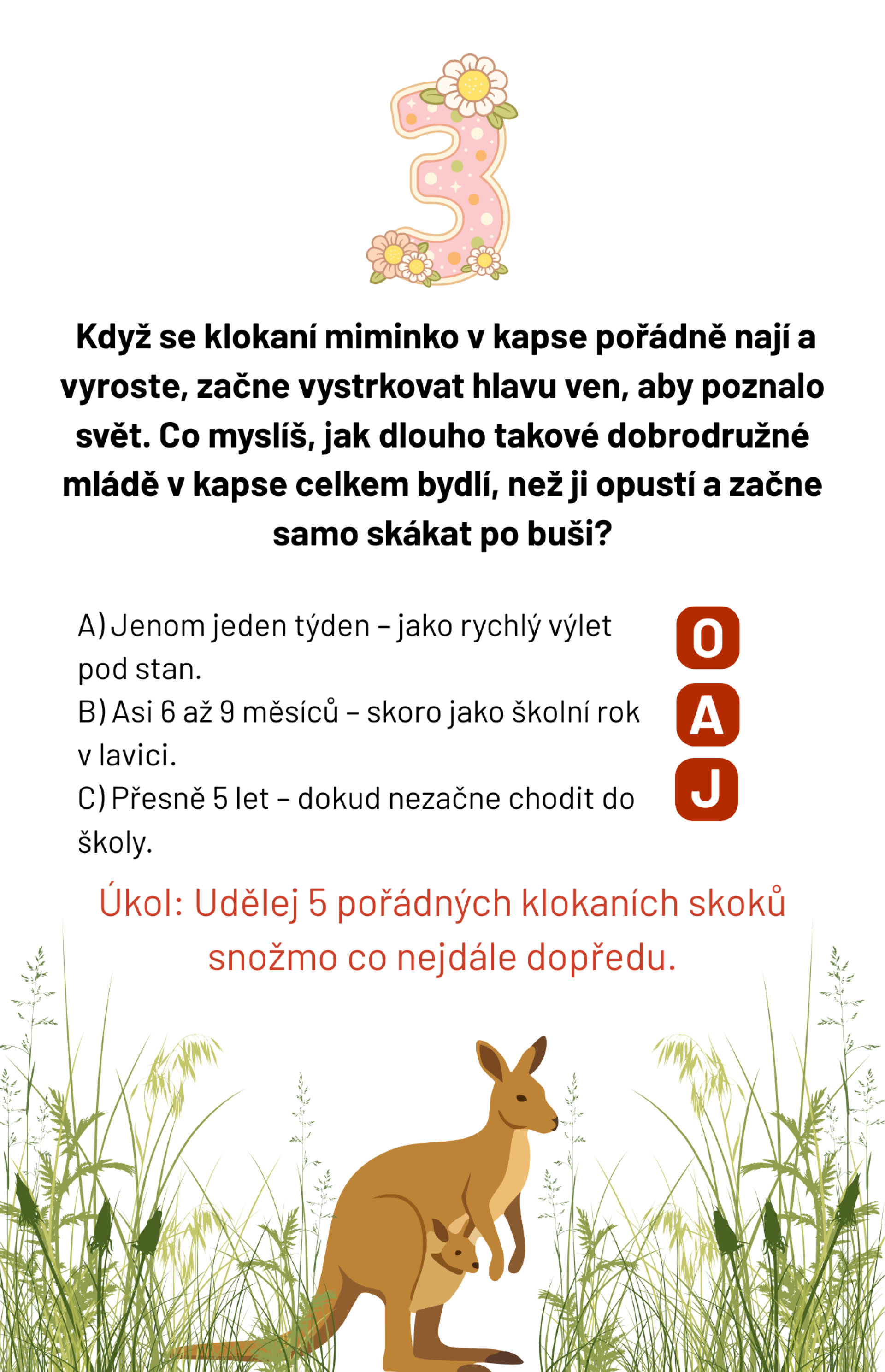 7dff03cc-3.png