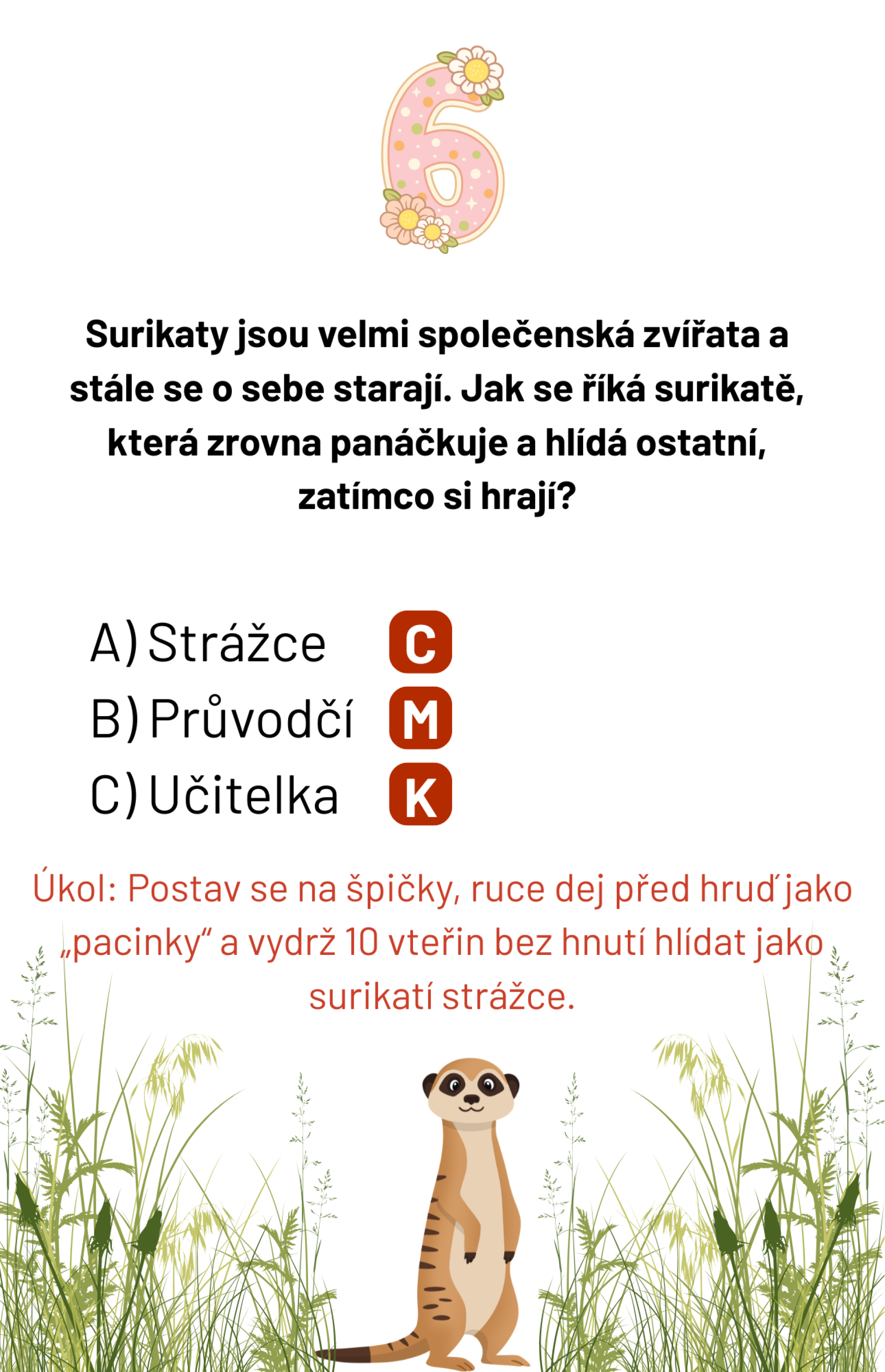 8b7b3124-6.png