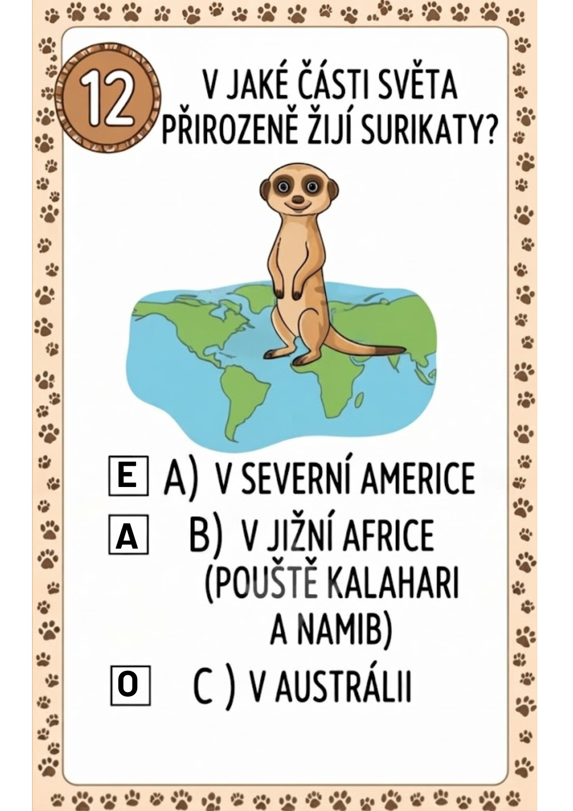 d880a39f-surikati-stezka-3.png