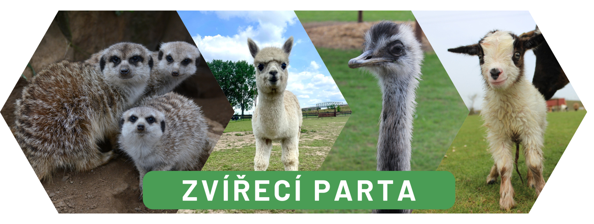 e3f3cf36-web-uvodni-obrazky-2.png