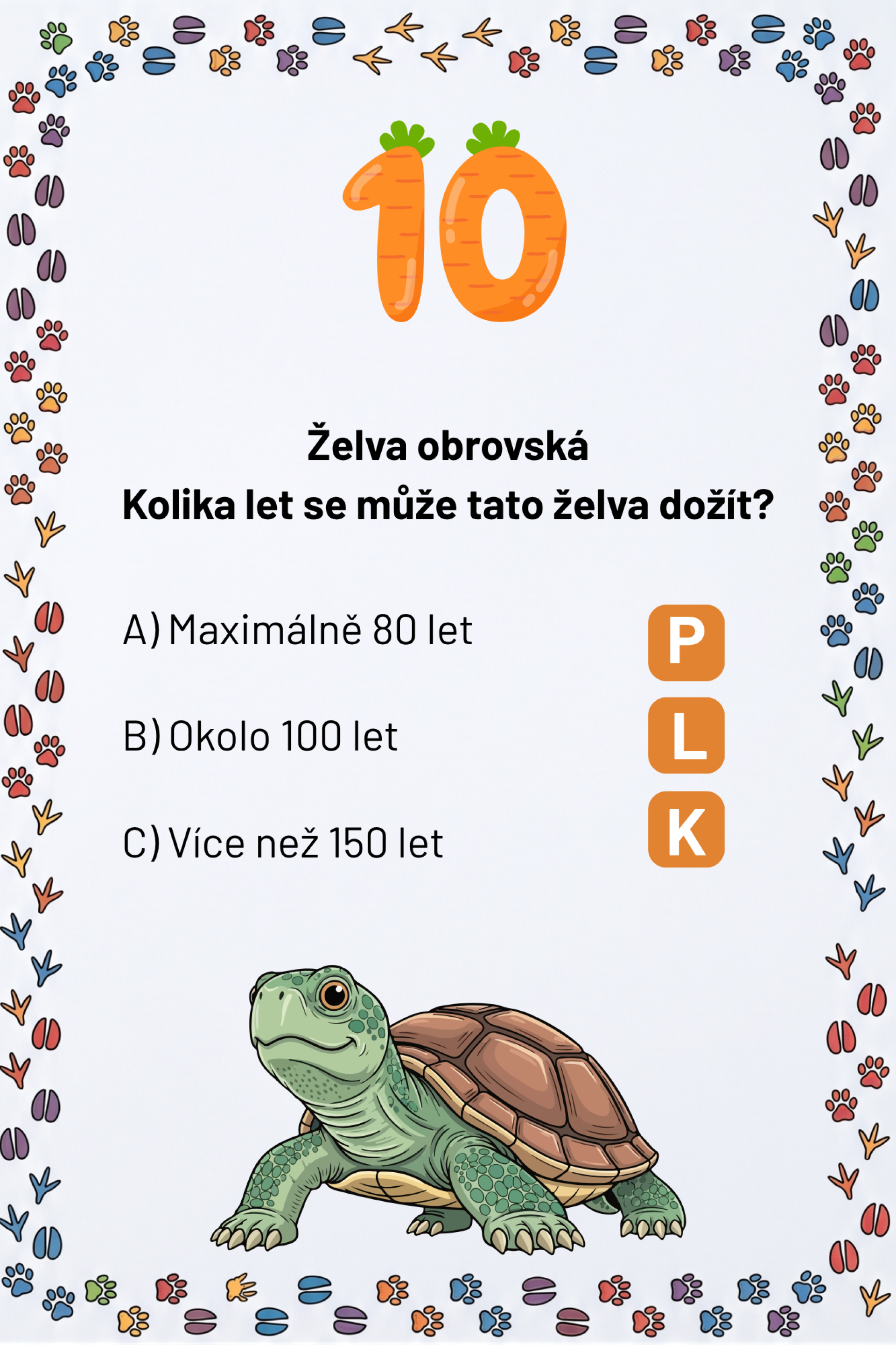 efd9accf-10.png