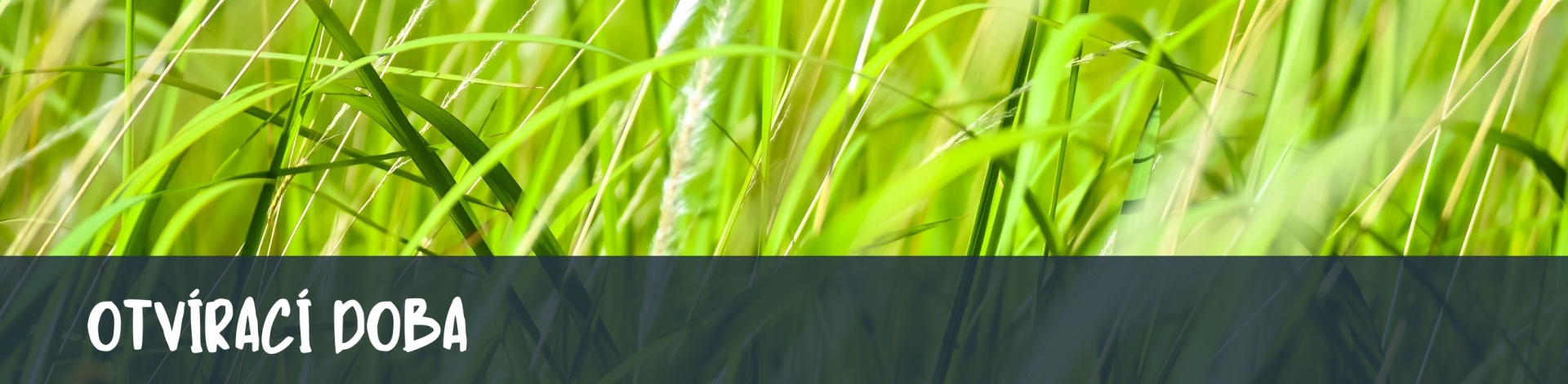 f48b9cfd-otviraci-doba-3.jpeg