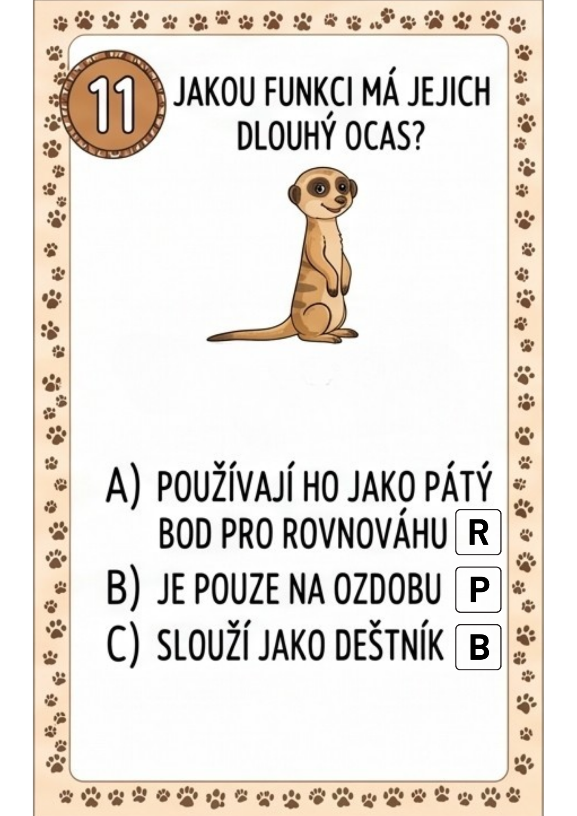 fdcc512e-11.png
