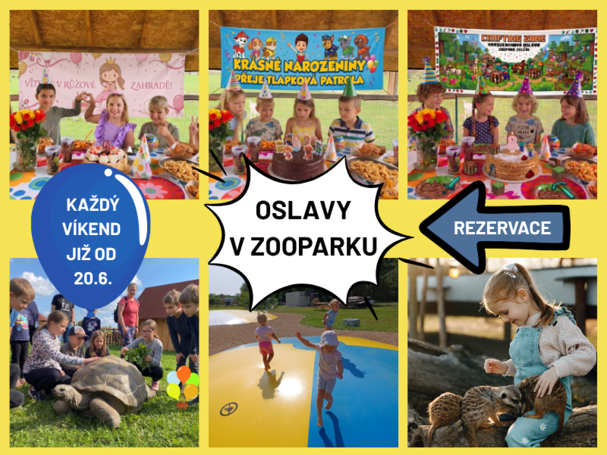 0166505c-zoopark-2026-06-12t180001.692.png