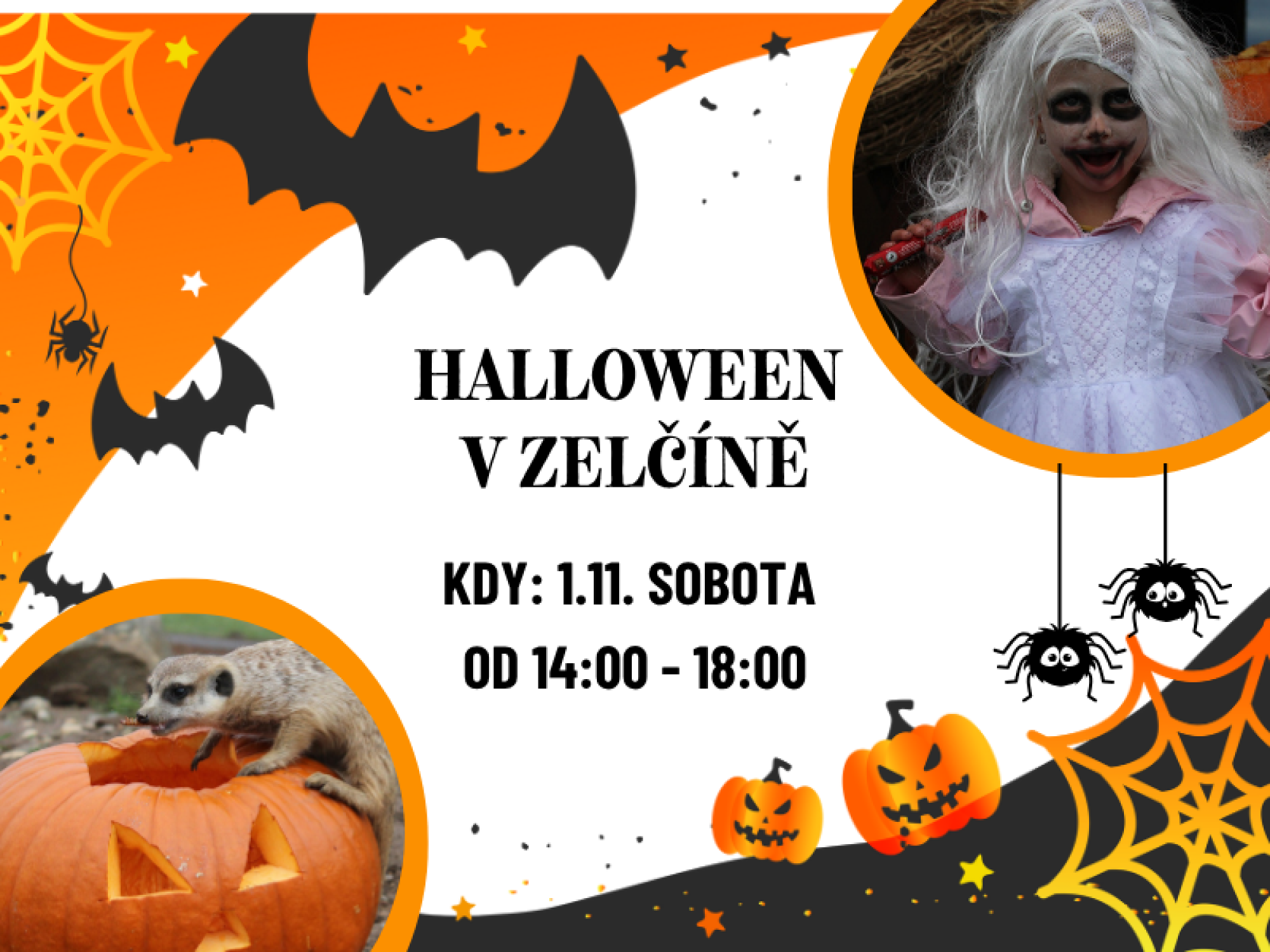 0265e9f1-akce-podzim-6.png