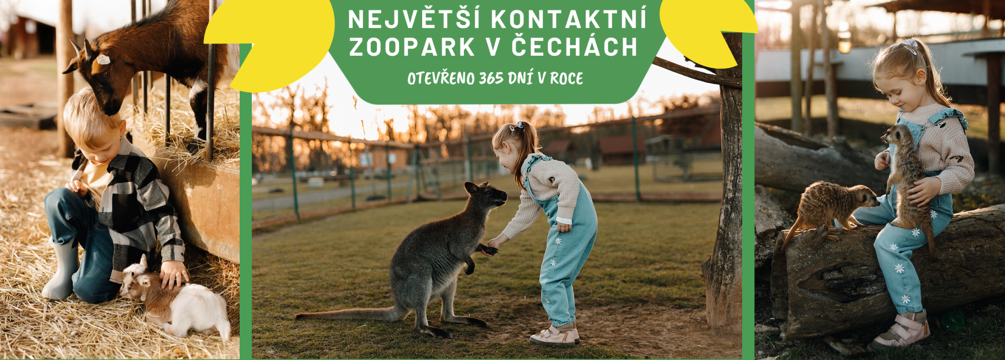 0908d740-nejvetsi-kontaktni-zoopark-v-cechach-98.png