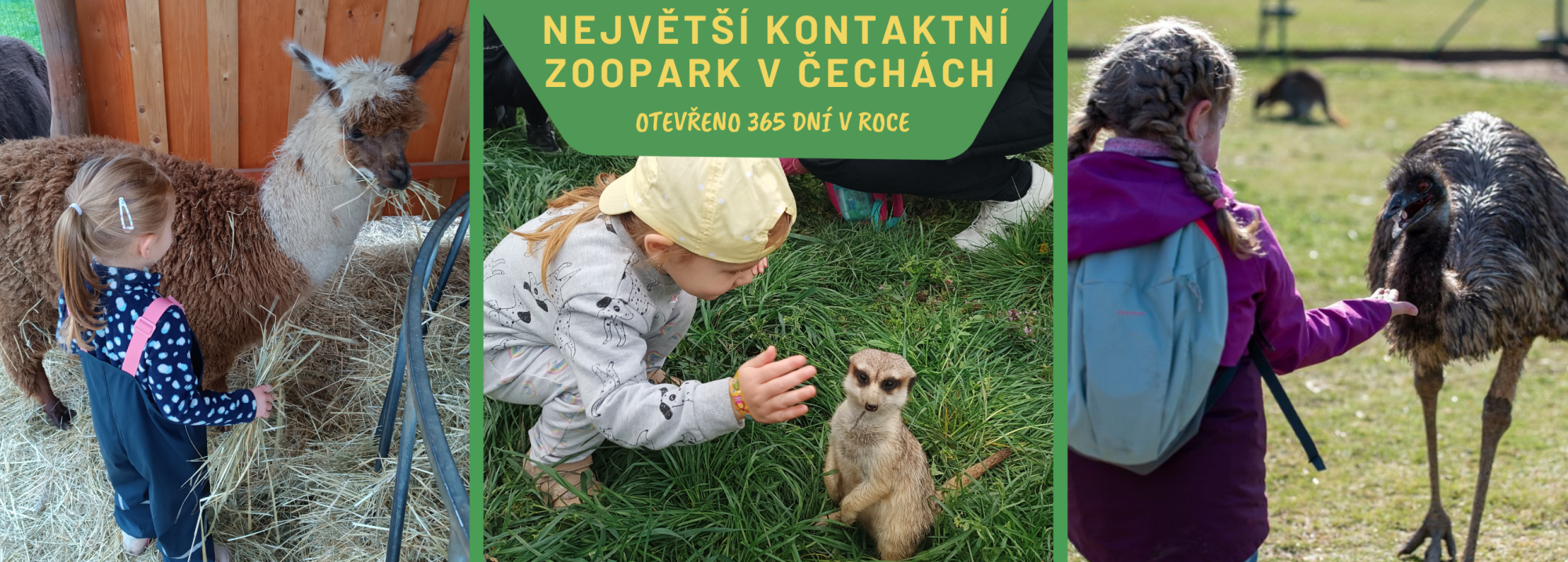 10ee5886-nejvetsi-kontaktni-zoopark-v-cechach-57.png