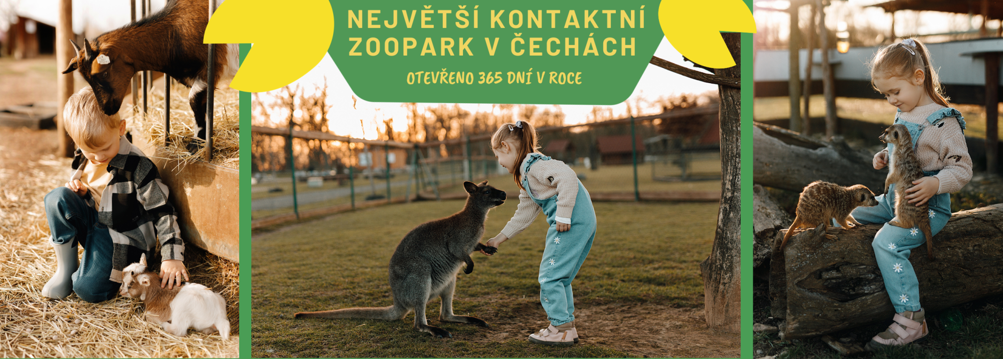1ed8651d-nejvetsi-kontaktni-zoopark-v-cechach-71.png