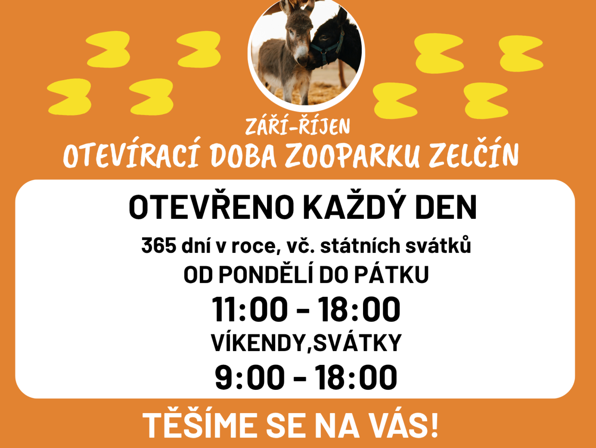 57f1277d-spusteny-rezervace-na-letni-tabor-v-zelcine.40.png
