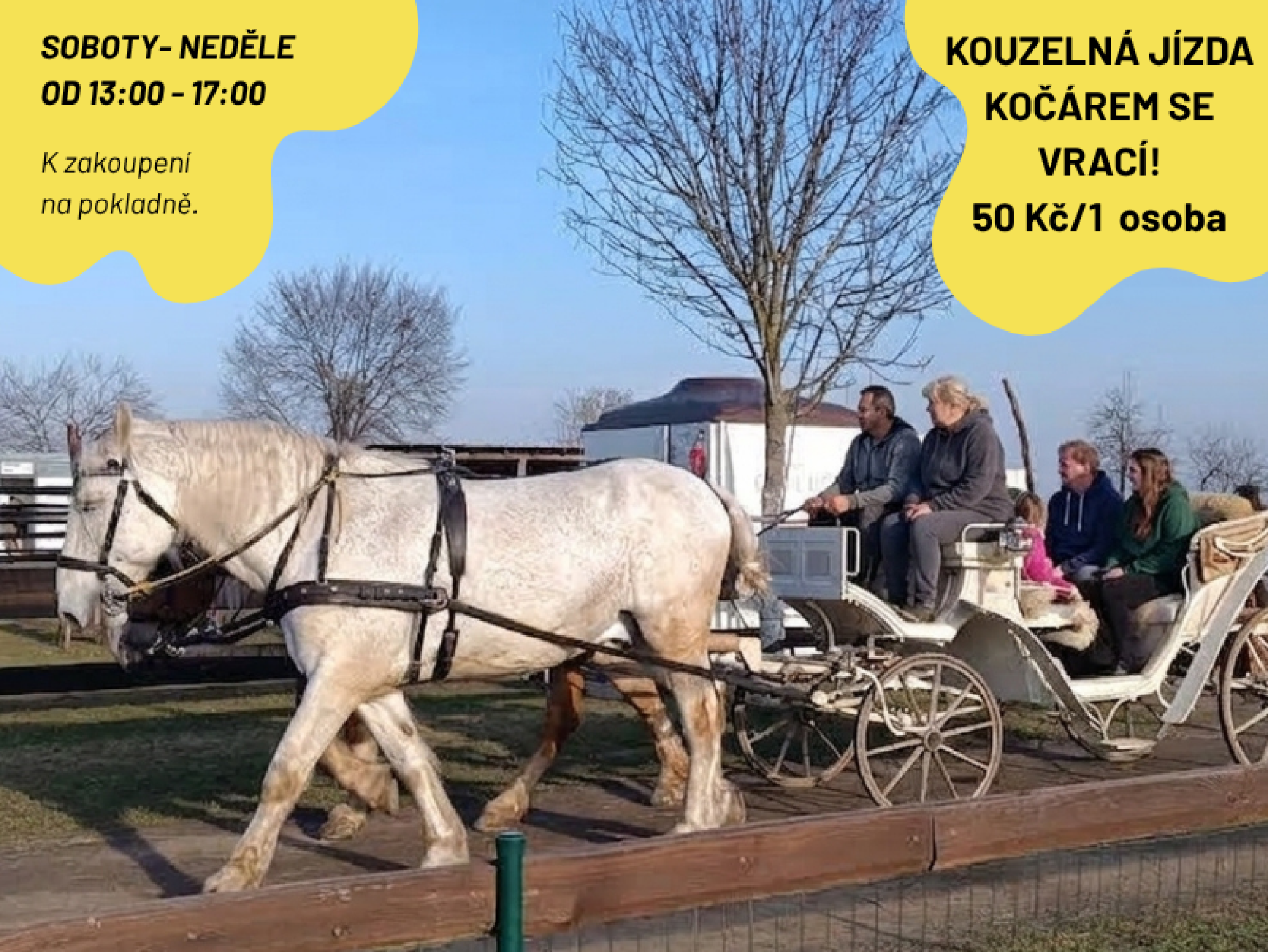 71a70ba1-zoopark-2026-09-04t103352.186.png