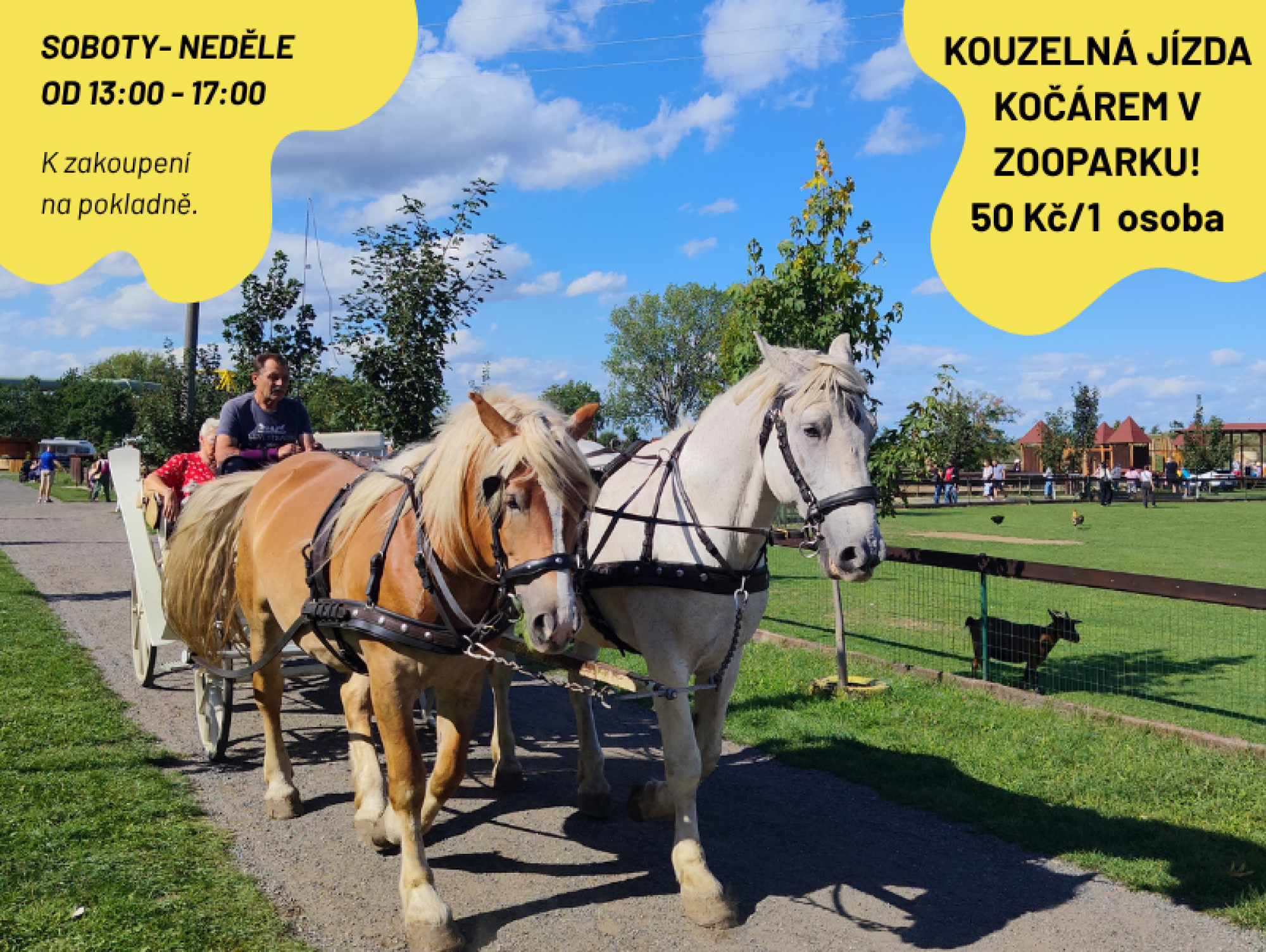 87d72e40-zoopark-2026-09-07t094223.452.png