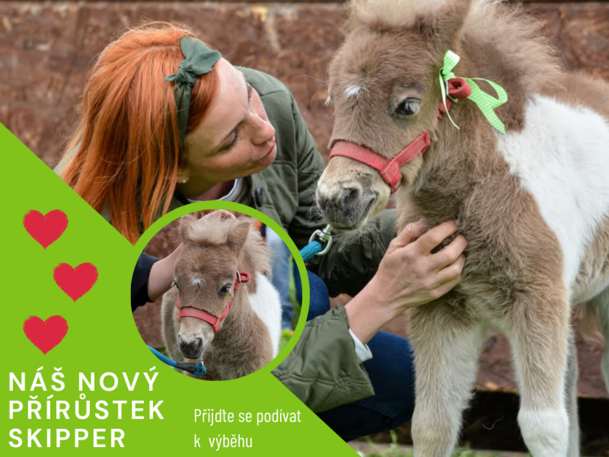 90627994-otevreno-kazdy-den-vcetne-svatku-brezen-cerven-23.png