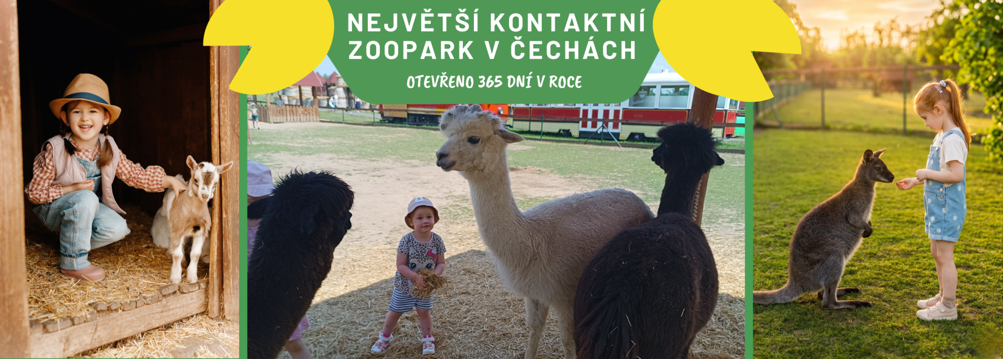 aa807921-nejvetsi-kontaktni-zoopark-v-cechach-92.png