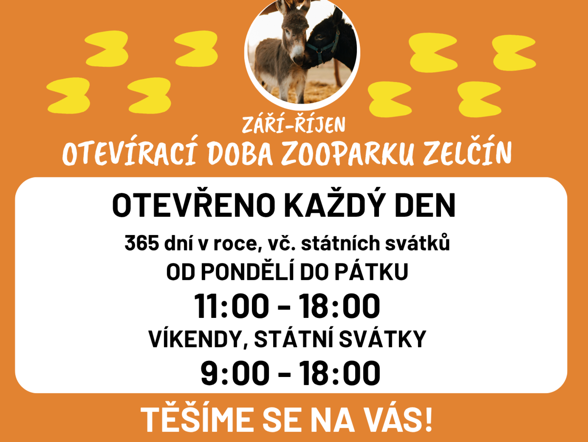 e6808d70-spusteny-rezervace-na-letni-tabor-v-zelcine.43.png