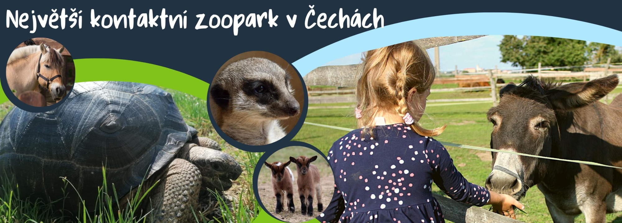 e9c2227a-nejvetsi-kontaktni-zoopark-v-cechach.jpeg