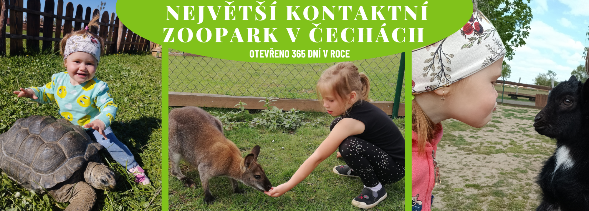 ec331c09-nejvetsi-kontaktni-zoopark-v-cechach-11.png