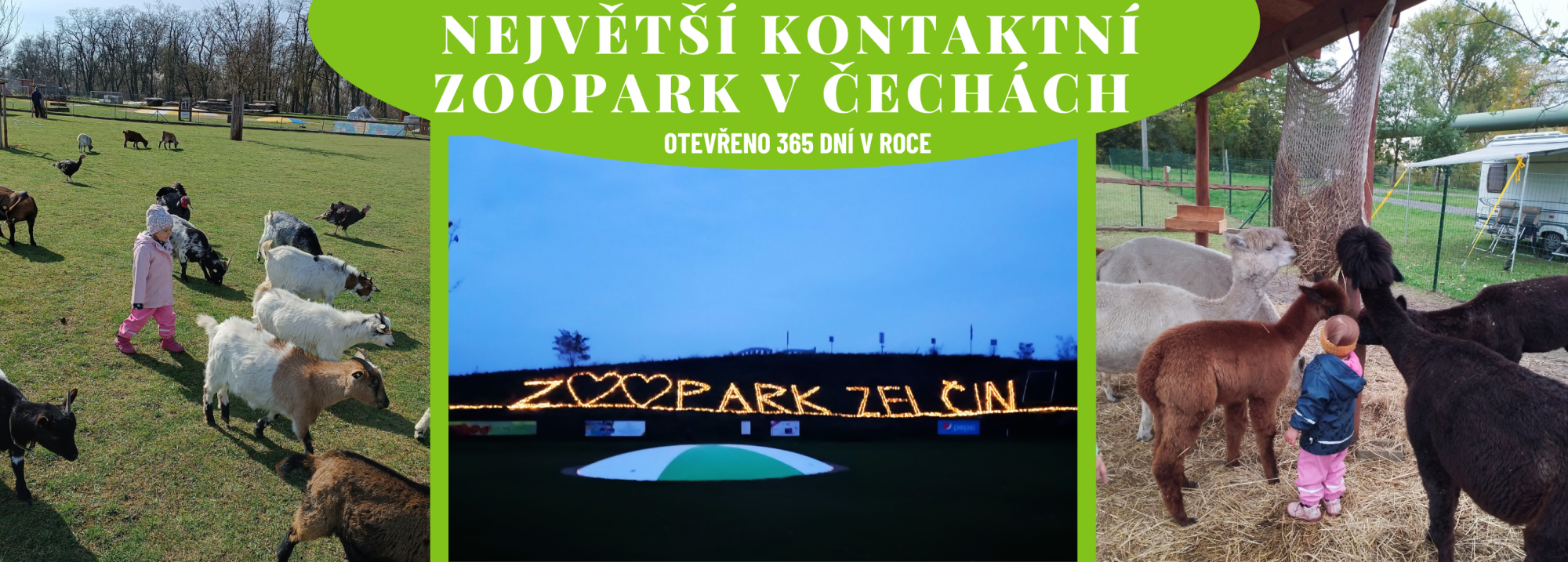 fdace64b-nejvetsi-kontaktni-zoopark-v-cechach-9.png