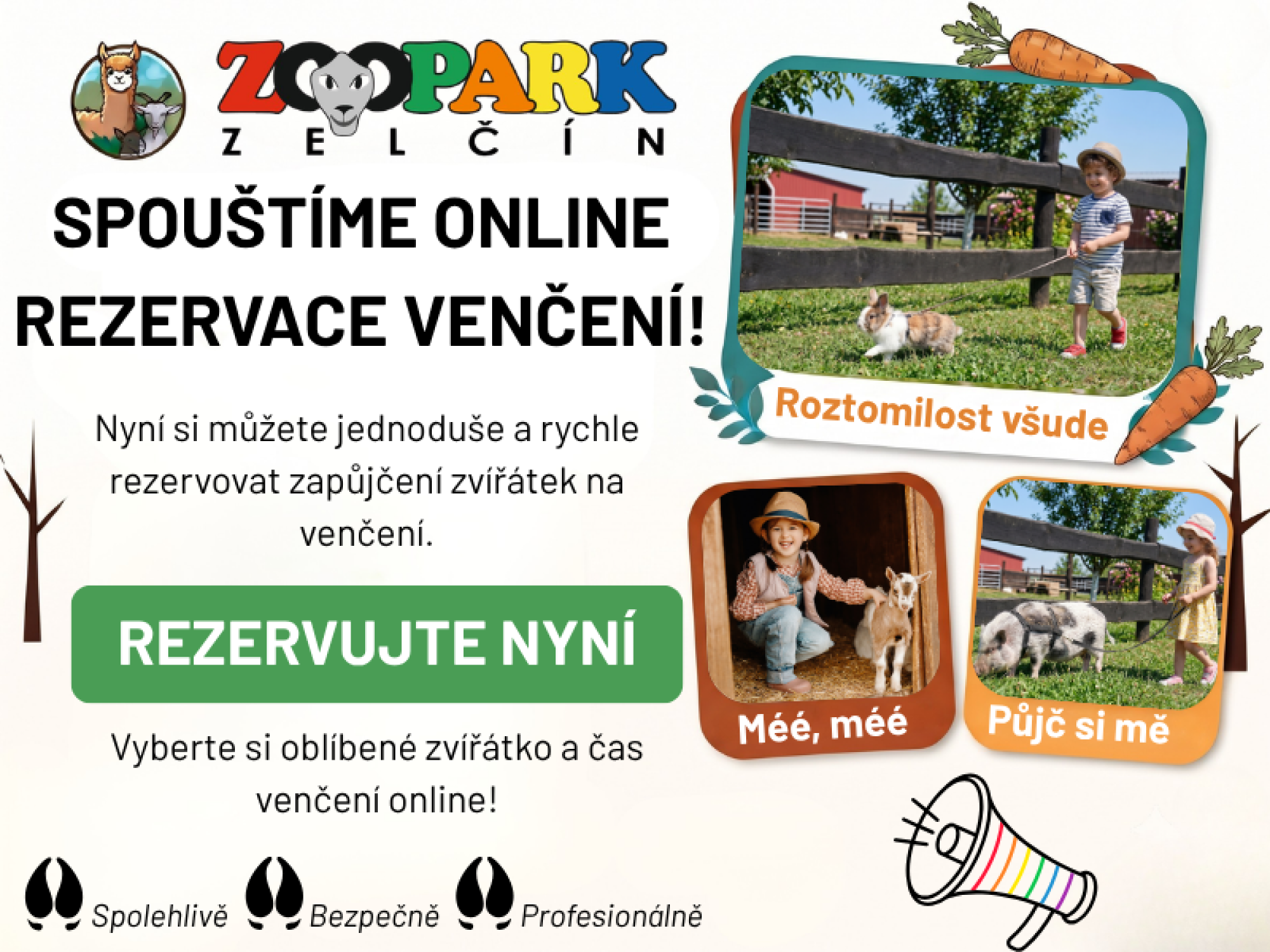 ff0b2d1a-zoopark-2026-07-17t163519.451.png