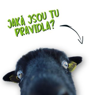 b1a914c7-zoopark-7.jpeg