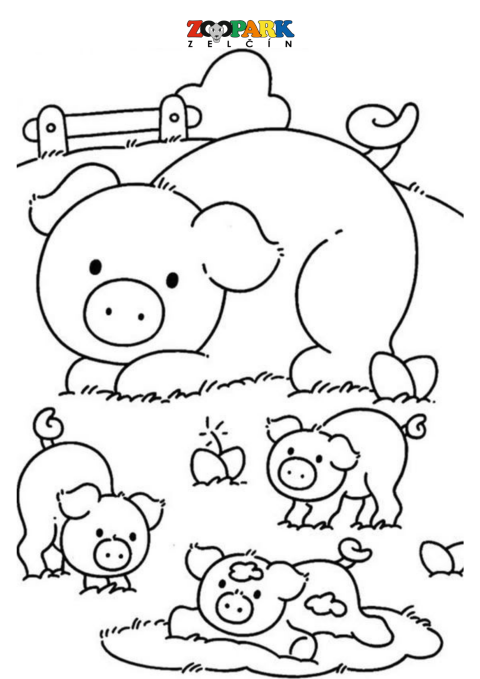 0fc9702a-36.png