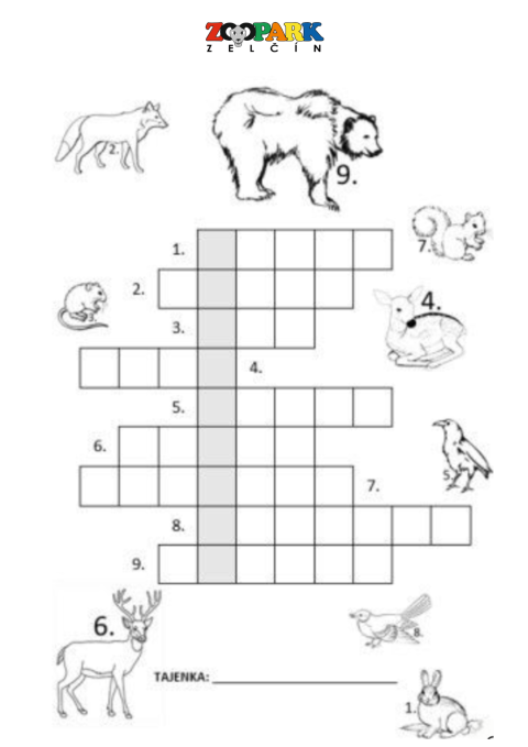 50944703-10.png