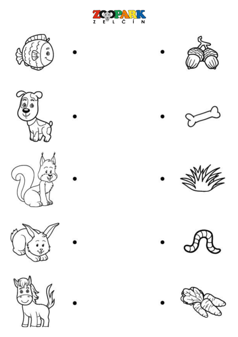 5908411c-3.png