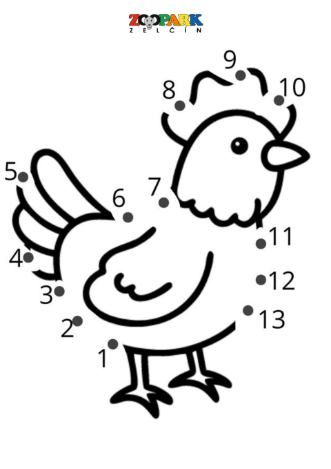 5975351d-55.png