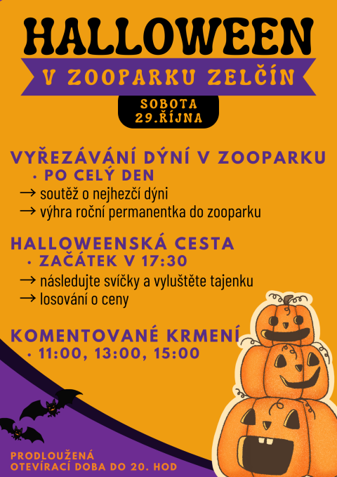 5cbf10c9-dynovani-a4.png