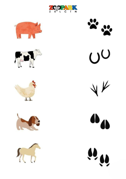 79a117a5-70.png