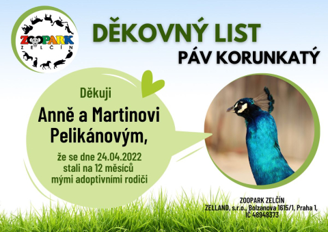 8850ede8-dekovny-list-adoptivni-rodice.jpeg