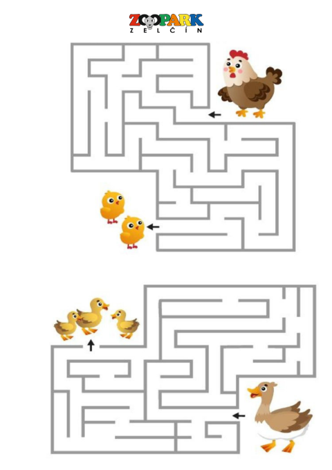 909ffa39-86.png