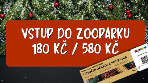 ab523775-fb-udalosti-zoopark.jpeg