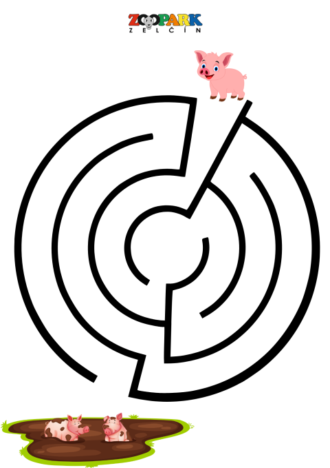 c5d2b639-3.png