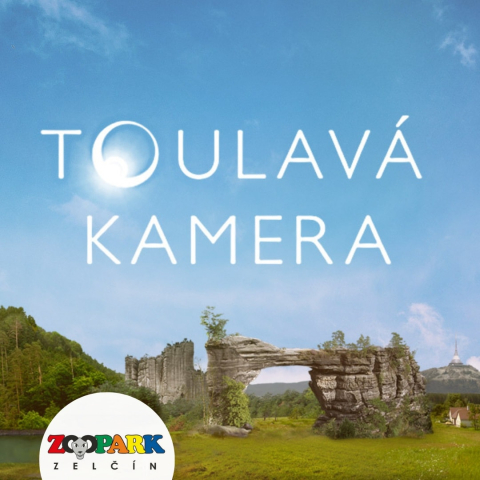 d045bfa6-toulava-kamera.jpeg