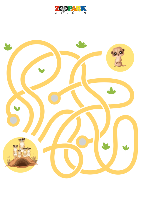 f3e5843b-4.png