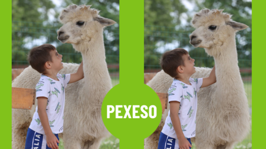 PEXESO V ZOOPARKU