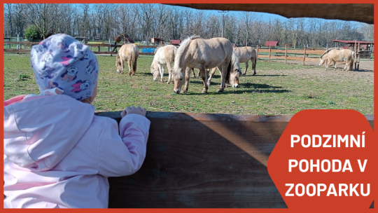 BAREVNÝ PODZIM V ZOOPARKU: PÁTREJ A TVOŘ!