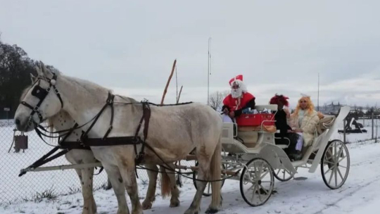 Mikulášská nadílka v zooparku